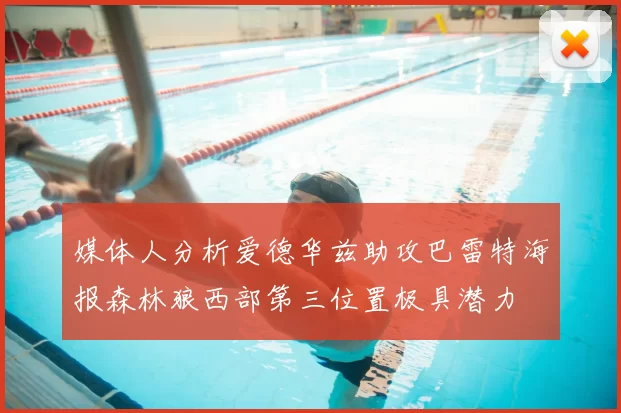 媒体人分析爱德华兹助攻巴雷特海报森林狼西部第三位置极具潜力