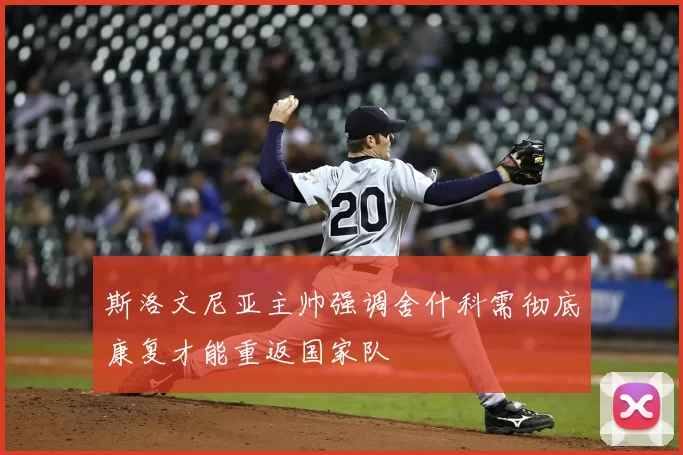 斯洛文尼亚主帅强调舍什科需彻底康复才能重返国家队