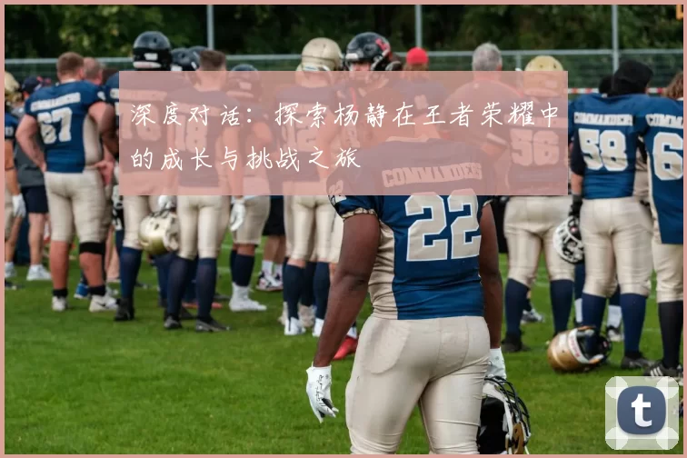 深度对话：探索杨静在王者荣耀中的成长与挑战之旅