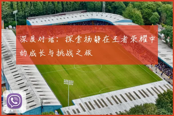 深度对话:探索杨静在王者荣耀中的成长与挑战之旅