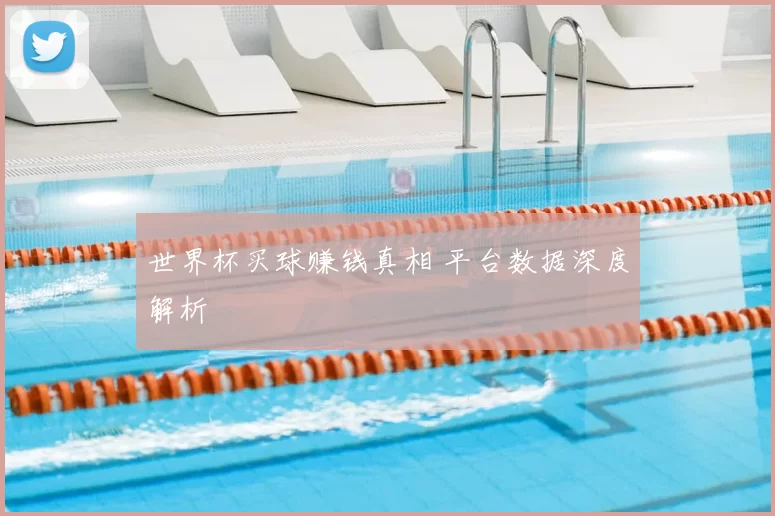 世界杯买球赚钱真相 平台数据深度解析