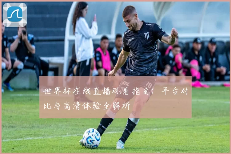 世界杯在线直播观看指南：平台对比与高清体验全解析