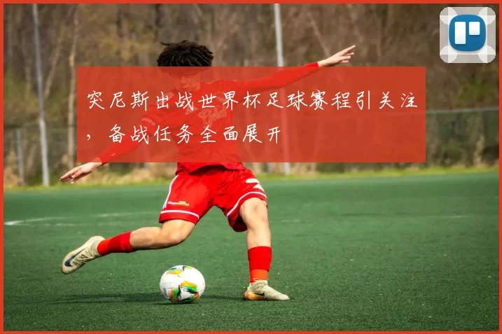 突尼斯出战世界杯足球赛程引关注，备战任务全面展开