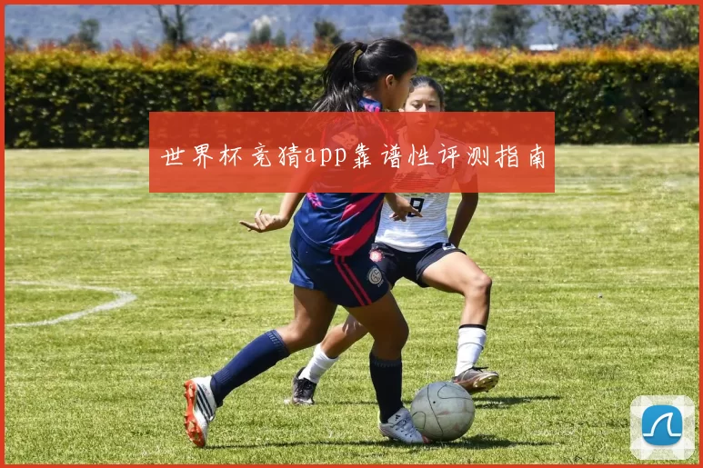 世界杯竞猜app靠谱性评测指南