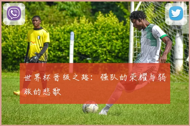 世界杯晋级之路:强队的荣耀与弱旅的悲歌