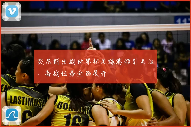突尼斯出战世界杯足球赛程引关注,备战任务全面展开