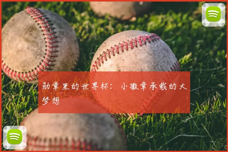 勋章里的世界杯：小徽章承载的大梦想