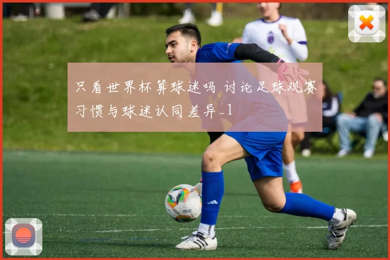 只看世界杯算球迷吗 讨论足球观赛习惯与球迷认同差异_1