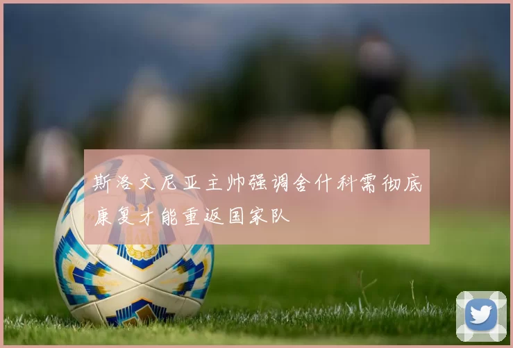 斯洛文尼亚主帅强调舍什科需彻底康复才能重返国家队